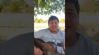 Pendências Gusttavo Lima Cover Jefferson Rodrigues [upl. by Repsaj]