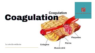 Coagulation [upl. by Kahl28]