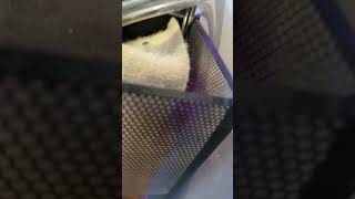 Fluval Evo 135 Upflow Algae Scrubber working [upl. by Icyaj]