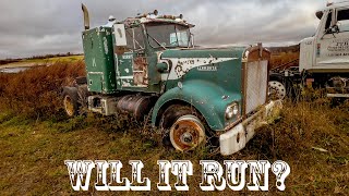 Saved from the CRUSHER Will this ABANDONED Kenworth w900a ever run again [upl. by Breed]