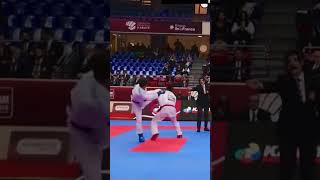 KARATE ACTION  K1 PREMIER LEAGUE PARIS 2024 [upl. by Stretch]