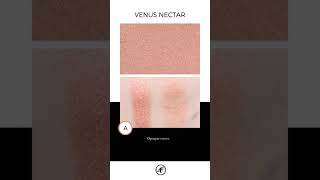 Pat McGrath Venus Nectar Divine Glow Highlighter Review and Swatches [upl. by Egiap]