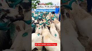 Retteri Market 2024  14062024 BAKRID 2024  2024 goat sheep animals india shorts reels [upl. by Tacita]