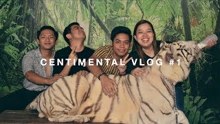 A MILLION ROARS  Centimental Vlog 1 [upl. by Krell]