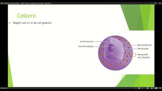 Klas 4 VWO Thema 1 Inleiding in de biologie basisstof 4 organellen deel 1 [upl. by Atnahsa140]