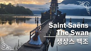 SaintSaëns  The Swan  Cellist HeeYoung Lim 생상스 백조  첼리스트 임희영 [upl. by Bearnard515]