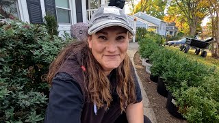 Planting A Boxwood Hedge In The Front  More Satisfying Mulching 🌳🌳🌳  Dirt and Dish [upl. by Naylor]