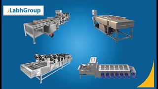 Dates Cleaning amp Grading Machine  Dates Processing Plant  Labh Group [upl. by Carpet682]