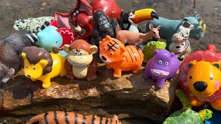 Wild Zoo Animal Toys Being Shown in Outdoors [upl. by Yderf]