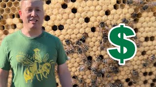 How much does beekeeping COST [upl. by Urson]