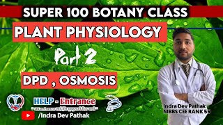 Plant Physiology part 2 DiffusionOsmosis  Water relation  plasmolysisImbibition  Absorption [upl. by Iphlgenia]