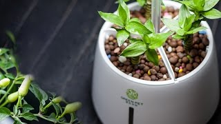 5 Smart Hydroponic  Aquaponic Home Garden [upl. by Rennoc611]