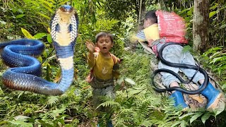 A 4yearold boy went to pick fruit and was attacked by a giant poisonous snake [upl. by Aiym]