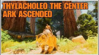 ubicación THYLACOLEO en THE CENTER ARK ASCENDED y como TAMEAR ASA 🐯 [upl. by Amadas]