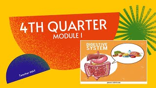 4TH QUARTER MODULE 1 THE DIGESTIVE SYSTEM [upl. by Colbye1]