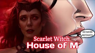 No more Mutants Scarlet Witch [upl. by Barnebas434]