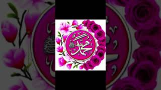 Wo hashmi makki madani ul arabi hai shorts Islamic WhatsApp status video 💚💚💚💚💚💚 [upl. by Atokad99]