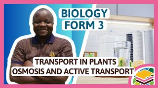 Transport in plants  Osmosis and active transport F3 Biology [upl. by Rehttam749]