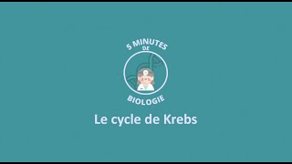 5 MINUTES DE BIOLOGIE  Le cycle de Krebs [upl. by Neall]