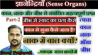 ज्ञानेंद्रियां  Sense Organs in Hindi  Skin Ear Nose Eye TongueSense Organ kya hote haiARSH GS [upl. by Nicola72]