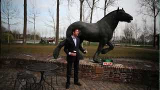 Kan Leontien van Moorsel Vlaamse trekpaarden mennen [upl. by Akcimat238]