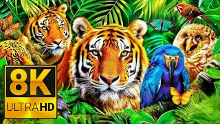 Animal Discovery  60 FPS 8K Video ULTRA HD Cinematic Animal 8K ANIMAL [upl. by Nerval]