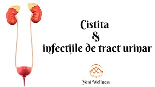 S2 Ep 56  Cistita ṣi infecțiile de tract urinar  Simptome  Diagnostic  Tratament  Prevenție [upl. by Madaras]