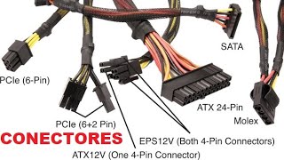 CONECTORES DE FUENTE DE PODER ¿Cuáles son [upl. by Puri]