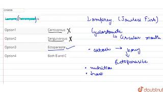 Lamprey Petromyzon is [upl. by Janella]