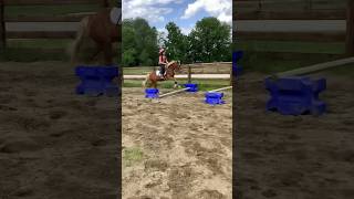 This was my first time doing bounces Horse riding edits rider horsegirls equestrian horsey [upl. by Cinderella]