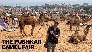 Indias Wildest Festival in The Desert 🇮🇳 [upl. by Yelich]