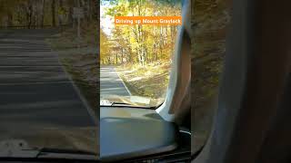 Beautiful Berkshires Colors Berkshires appalachianmtns youtubeshorts [upl. by Yleek]