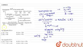 The dipeptide III is [upl. by Tenenbaum]