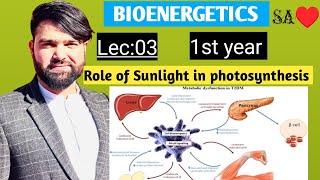 Role of light in photosynthesis Bioenergetics Class 11th1styearbiology studywithbotanist6759 [upl. by Anaibib]