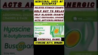 The Best Medicine for Stomach Pain shorts medicine pharmacy [upl. by Mylo]