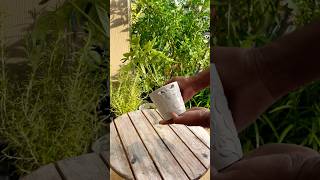 garden gardening agriculture flowers nature [upl. by Eissirc]