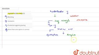 Hydathodes help in [upl. by Artenra]