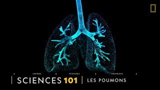 COMPRENDRE  les poumons [upl. by Illib]