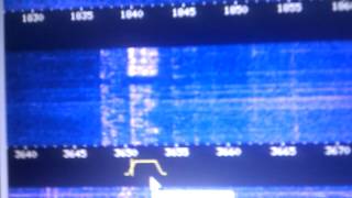 WebSDR  SP3PGX [upl. by Diraf]