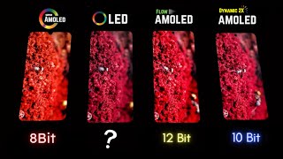 Super AMOLED vs OLED vs Flow OLED vs Dynamic AMOLED 2X  Display Test [upl. by Micki]