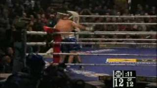 Lucian Bute vs Librado Andrade 2008 [upl. by Tenahs]