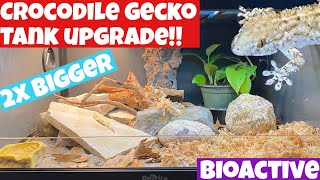 CROCODILE GECKO BIOACTIVE ENCLOSURE BUILD [upl. by Bringhurst]