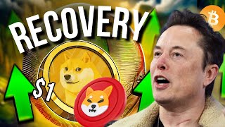 Dogecoin Bitcoin News Today When Will We Recover [upl. by Ioj]