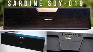 Sardine SDY019 Review  AllInOne Bluetooth Speaker [upl. by Surdna]