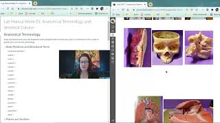 Lab Video Anatomical Terminology Part 1 [upl. by Dich]