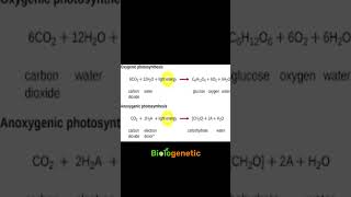 anoxygenicphotosynthesis autotrophicbacteria shortsvideo shorts biologyinbengali biologenetic [upl. by Earahc]