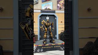 Bumblebee Transformers  Universal Studios Hollywood transformers bumblebee universalstudios [upl. by Olrak]