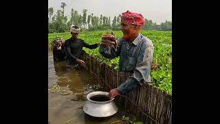 Best Traditional Local Fishing Video From River [upl. by Nnil]