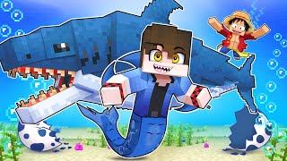 NASCI como um TUBARÃO GIGANTE no ONE PIECE MINECRAFT [upl. by Naul]