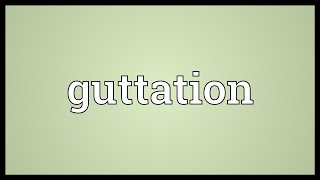 Guttation Meaning [upl. by Lorn477]